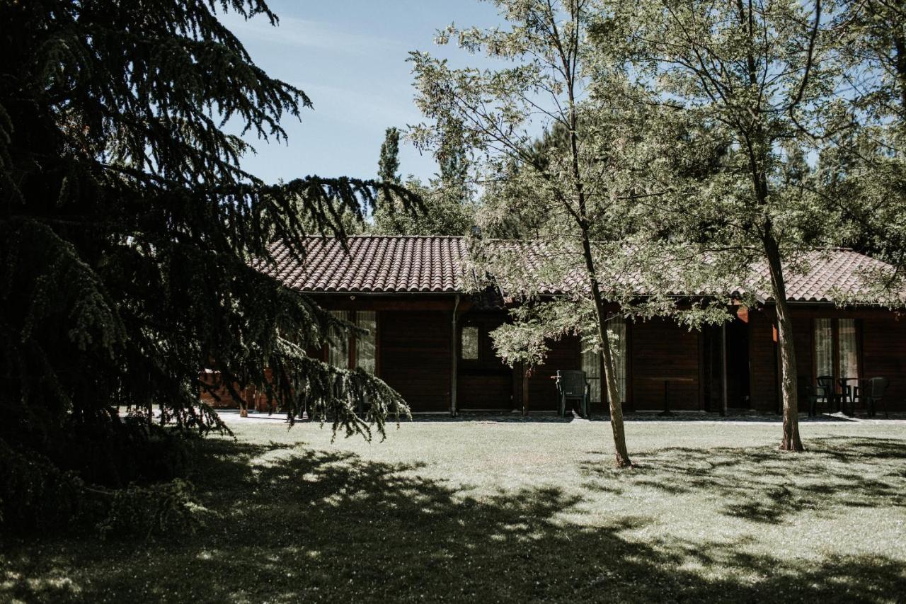 L'Anfora Country Club Bed & Breakfast Basciano Exterior photo